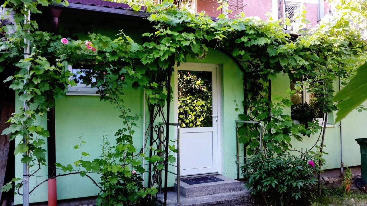 Harmonia Studio Leilighet Braşov Eksteriør bilde